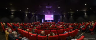 Belfast International Arts Festival 2024