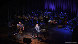 Belfast International Arts Festival 2024