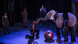 Belfast International Arts Festival 2024