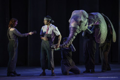 Belfast International Arts Festival 2024